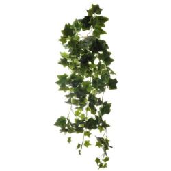 LOZICA VELIKA HEDERA  duzina - 110cm  sirina - 50cm