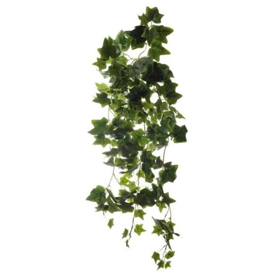 LOZICA VELIKA HEDERA  duzina - 110cm  sirina - 50cm