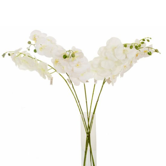 KOMADNA ORHIDEJA BELA NATURAL  h- 106cm