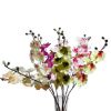 KOMADNA ORHIDEJA  MIX  h-78cm - 1
