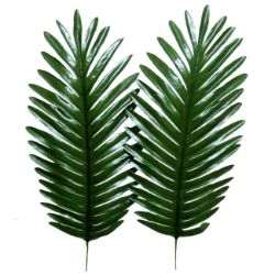 GRANA PALME 46 cm  visina - 46cm  sirina - 18cm