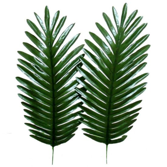 GRANA PALME 46 cm  visina - 46cm  sirina - 18cm