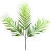 GRANA PALME 1X3 80cm  visina - 80cm  sirina - 60cm - 1
