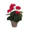 MUŠKATLA VEŠTAČKA TAMNO RUŽIČASTA h34xd20cm U SAKSIJI d11.5cm DSY 12 - 1