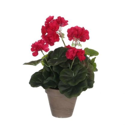 MUŠKATLA VEŠTAČKA TAMNO RUŽIČASTA h34xd20cm U SAKSIJI d11.5cm DSY 12