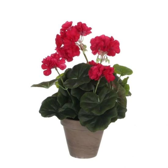 MUŠKATLA VEŠTAČKA TAMNO RUŽIČASTA h34xd20cm U SAKSIJI d11.5cm DSY 12