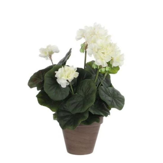 MUŠKATLA VEŠTAČKA KREM h34xd20cm U SAKSIJI d11.5cm DSY 12