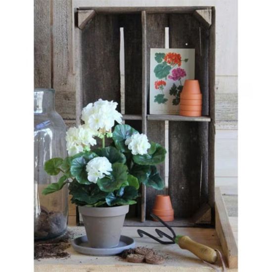 MUŠKATLA VEŠTAČKA KREM h34xd20cm U SAKSIJI d11.5cm DSY 12