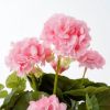 MUŠKATLA VEŠTAČKA ROZE h34xd20cm U SAKSIJI d11.5cm DSY 12 - 3