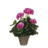 MUŠKATLA VEŠTAČKA RUŽIČASTA h34xd20cm U SAKSIJI d11.5cm DSY18 - 1