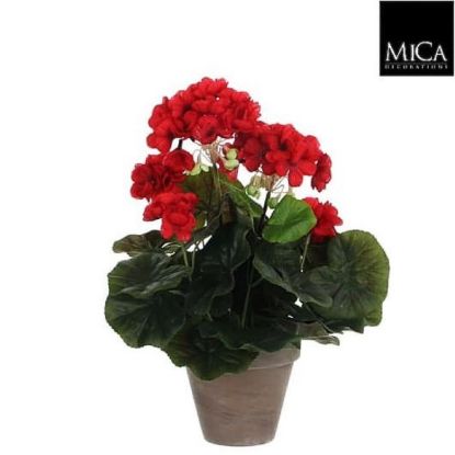 MUŠKATLA VEŠTAČKA CRVENA h34xd20cm U SAKSIJI d11.5cm DSY 18