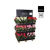 MUŠKATLA VEŠTAČKA CRVENA h34xd20cm U SAKSIJI d11.5cm DSY 18 - 3