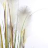 TRAVA PLUME FOXTAIL BELO U PLASTIČNOJ SAKSIJI - H150XD70CM - 2