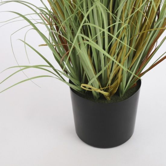 TRAVA PLUME FOXTAIL BELO U PLASTIČNOJ SAKSIJI - H150XD70CM