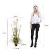 TRAVA PLUME FOXTAIL BELO U PLASTIČNOJ SAKSIJI - H150XD70CM - 5