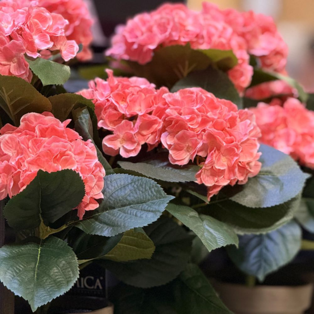 HORTENZIJA PINK VEŠTAČKA U SAKSIJI h40xd35cm DSY 8