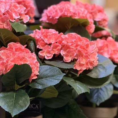 HORTENZIJA PINK VEŠTAČKA U SAKSIJI h40xd35cm DSY 8