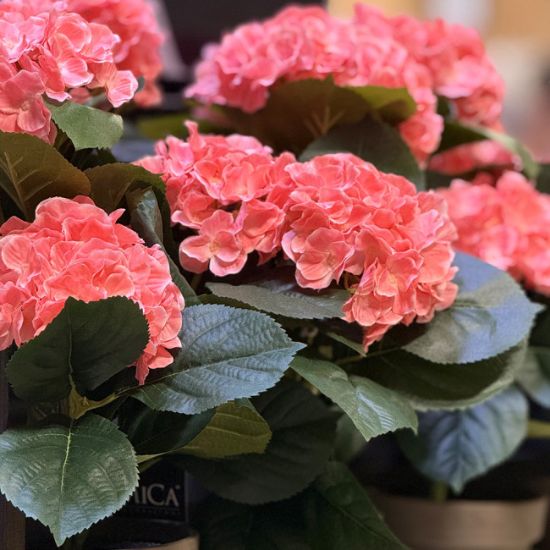HORTENZIJA PINK VEŠTAČKA U SAKSIJI h40xd35cm DSY 8