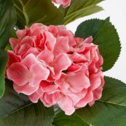 HORTENZIJA PINK VEŠTAČKA U SAKSIJI h40xd35cm DSY 8