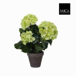 HORTENZIJA ZELENA VEŠTAČKA U SAKSIJI h40xd35cm DSY 8