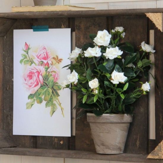 RUŽA BELA VEŠTAČKA U SAKSIJI h33xd25cm DSY24