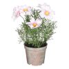 MARGARETA VEŠTAČKI CVET U SAKSIJI, ROZE – H21,5 × D13 CM - 1