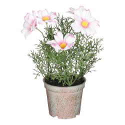 MARGARETA VEŠTAČKI CVET U SAKSIJI, ROZE – H21,5 × D13 CM