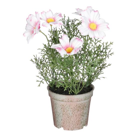 MARGARETA VEŠTAČKI CVET U SAKSIJI, ROZE – H21,5 × D13 CM