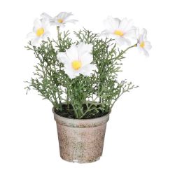 MARGARETA VEŠTAČKI CVET U SAKSIJI, BELA – H21,5 × D13 CM