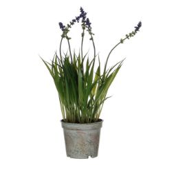 LAVANDA VEŠTAČKI CVET U PLASTIČNOJ SAKSIJI, LJUBIČASTA – H30 × D8,5 CM