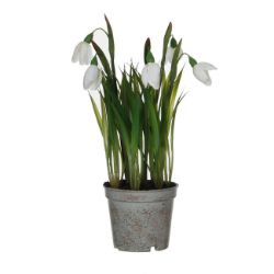 VISIBABA VEŠTAČKI CVET U PLASTIČNOJ SAKSIJI, BELA – H24 × D8,5 CM