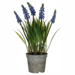ZUMBUL VEŠTAČKI CVET (GROZDASTI) U PLASTIČNOJ SAKSIJI, PLAVI – H27 × D8,5 CM
