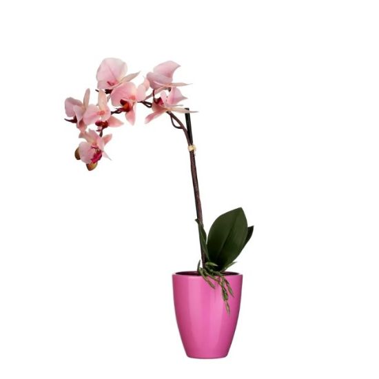 ORHIDEJA VEŠTAČKI CVET ROZE U SAKSIJI TUSCA – D10 CM – H42 × D20 CM
