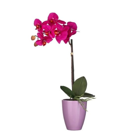 ORHIDEJA VEŠTAČKI CVET LJUBIČASTA (LILA) U SAKSIJI TUSCA – D10 CM – H42 × D20 CM