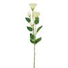 VEŠTAČKO CVEĆE EUSTOMA ZELENA 72CM EDELMAN - 1