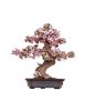 SLAGALICA 3D BONSAI DRVO TREŠNJE ROBOTIME - 1