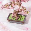 SLAGALICA 3D BONSAI DRVO TREŠNJE ROBOTIME - 4