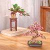 SLAGALICA 3D BONSAI DRVO TREŠNJE ROBOTIME - 6